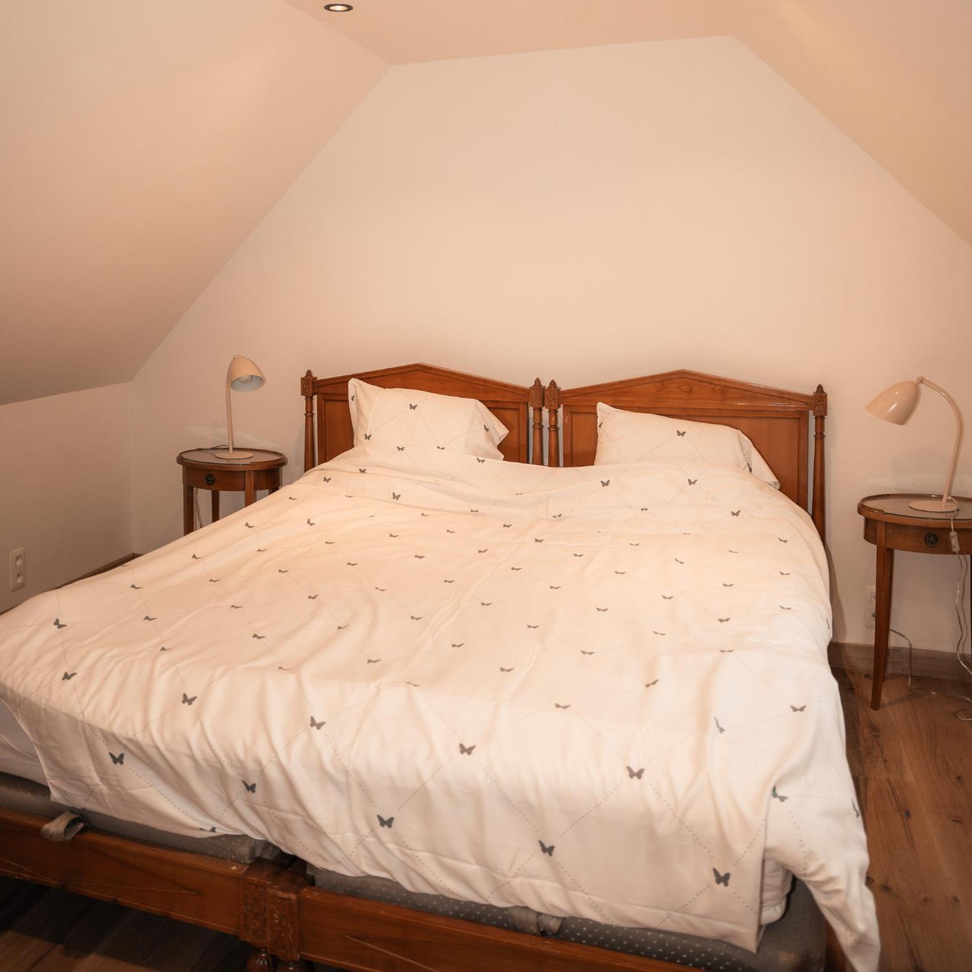 Lozerkasteel Hotel Kruishoutem Екстериор снимка