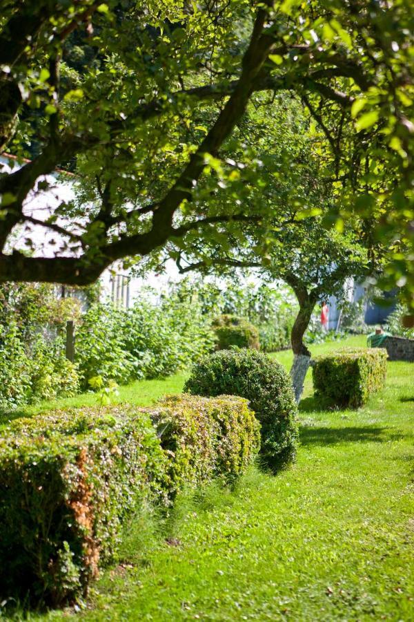 Lozerkasteel Hotel Kruishoutem Екстериор снимка